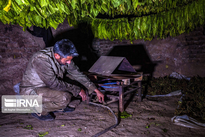 toton bardasht 1