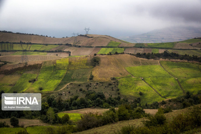 toton bardasht 1