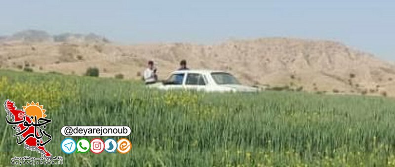 tesadof keleme marg 1