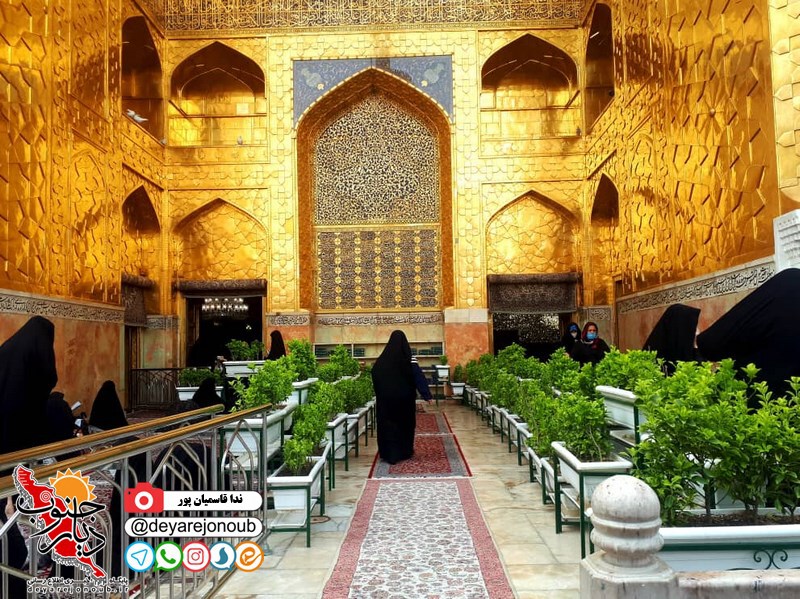 heram reza 1