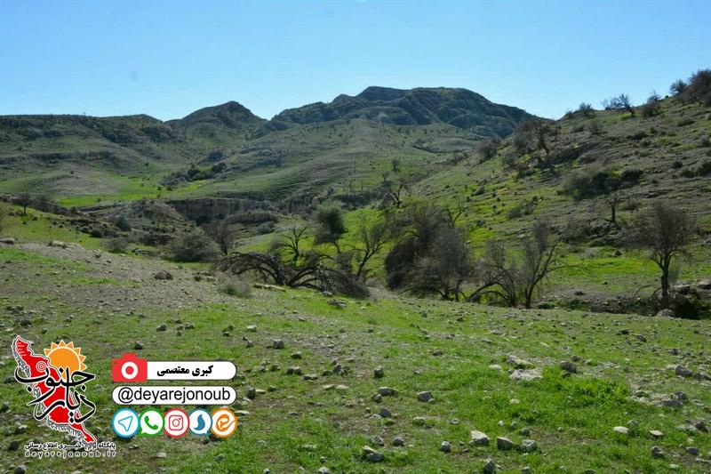 tabiat dalaki 1