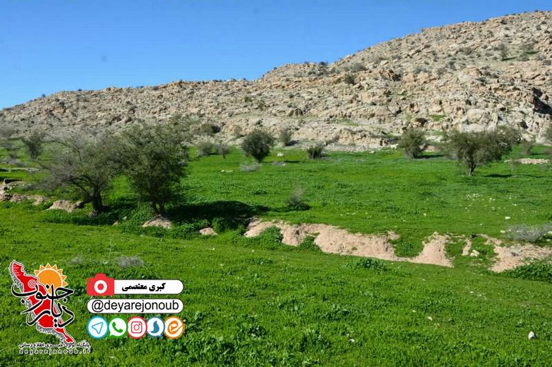 tabiat dalaki 1