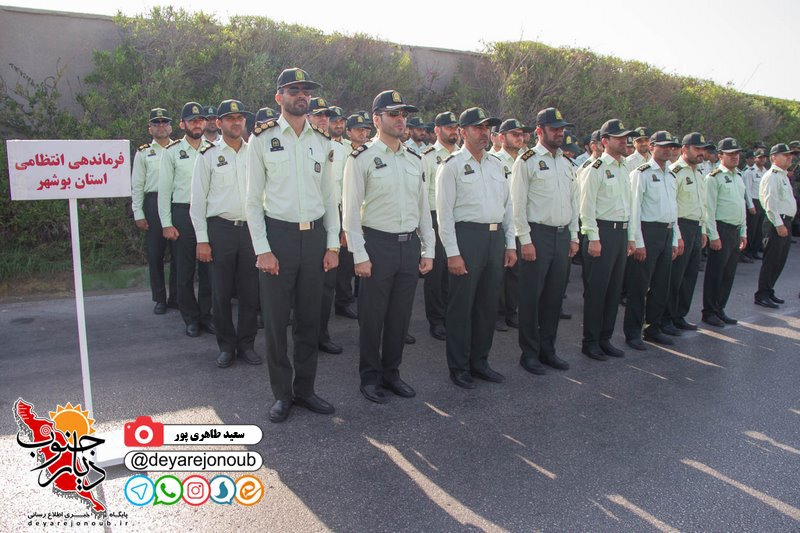 rezheh defa boshehr 1