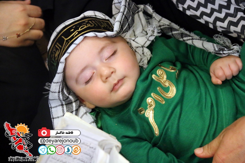 shirkharegan borazjan mosalla 1