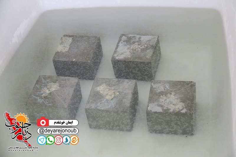efttetahe sherkate khobregane boushehr 1 