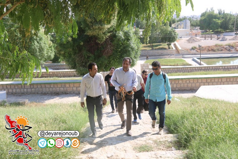 shahrdar boostane azadi ziplain borazjan 1