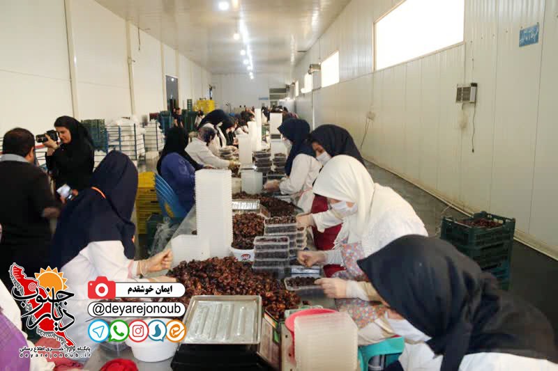 parishan nakhle boushehr 1