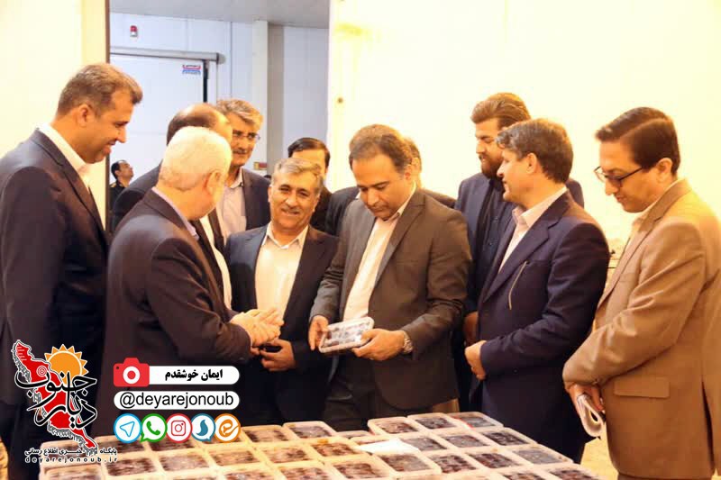 parishan nakhle boushehr 1