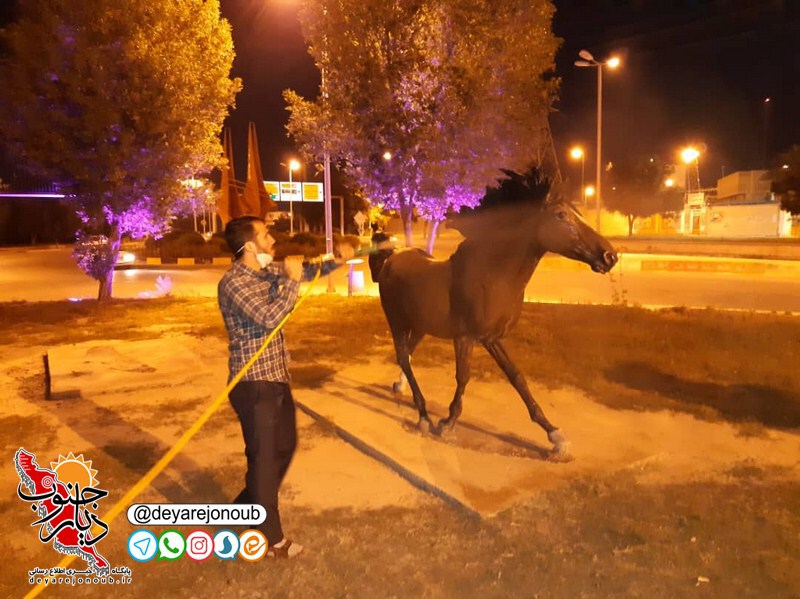 haftomin zedeofooni borazjan 1