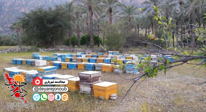 zanboor 1