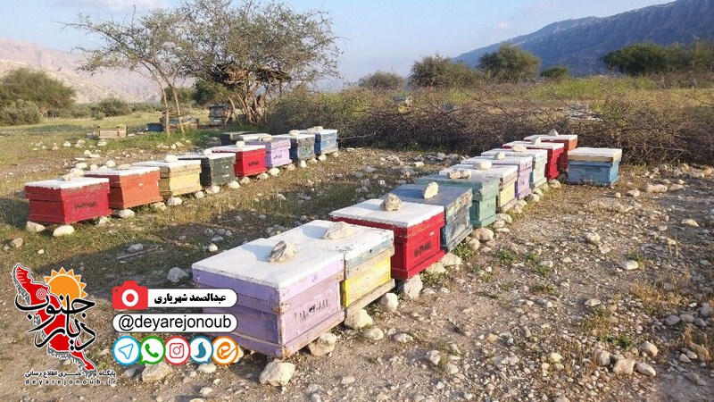 zanboor 1