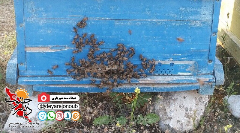 zanboor 1