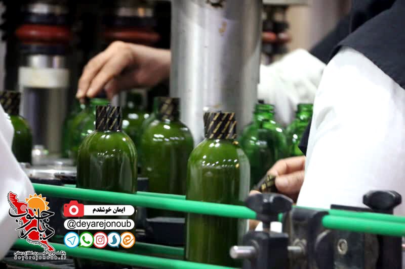 bazdid sosfelfel dashtestan 1
