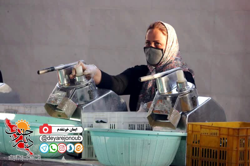 bazdid sosfelfel dashtestan 1