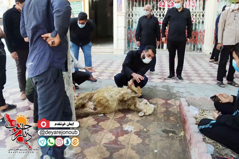 ghorbani baste maeishati b 4