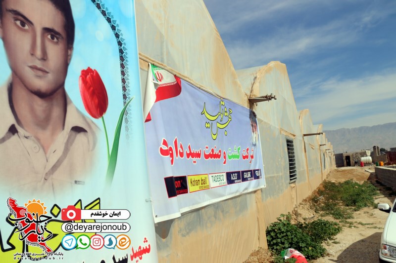 ronamee tandis shahrak 1