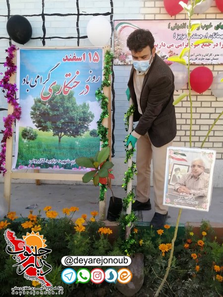 darakht javid 1