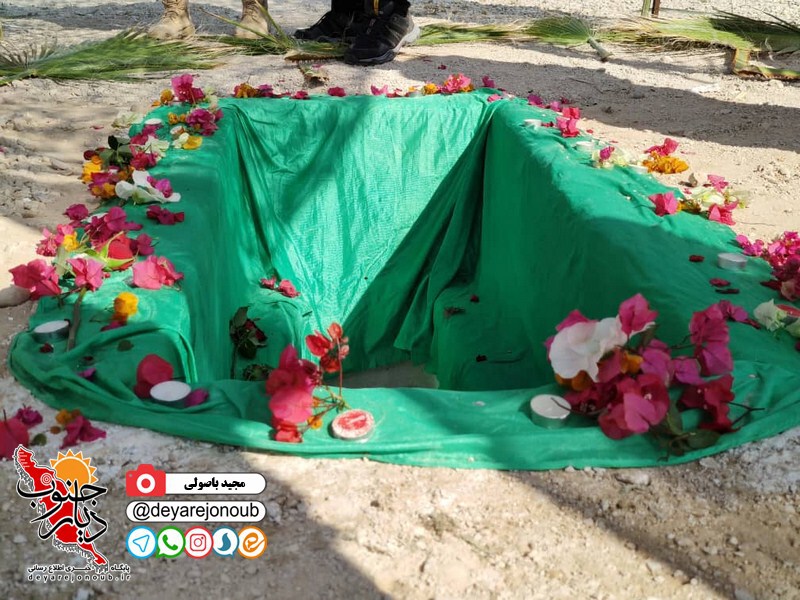 shahid gomnam borazjan 1