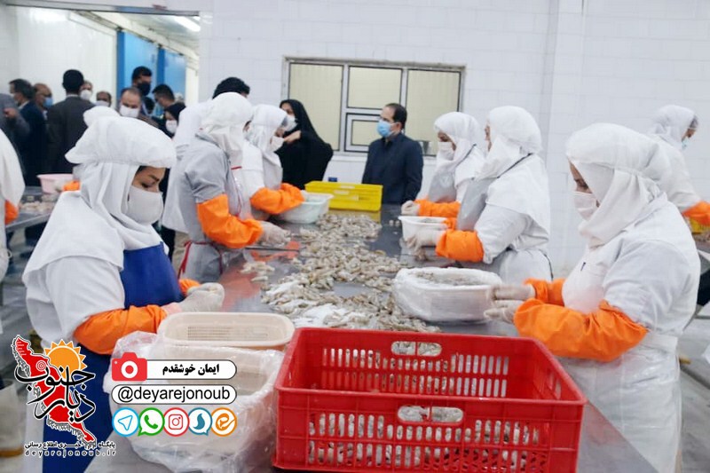 vazdid moaven samt shahrak 1